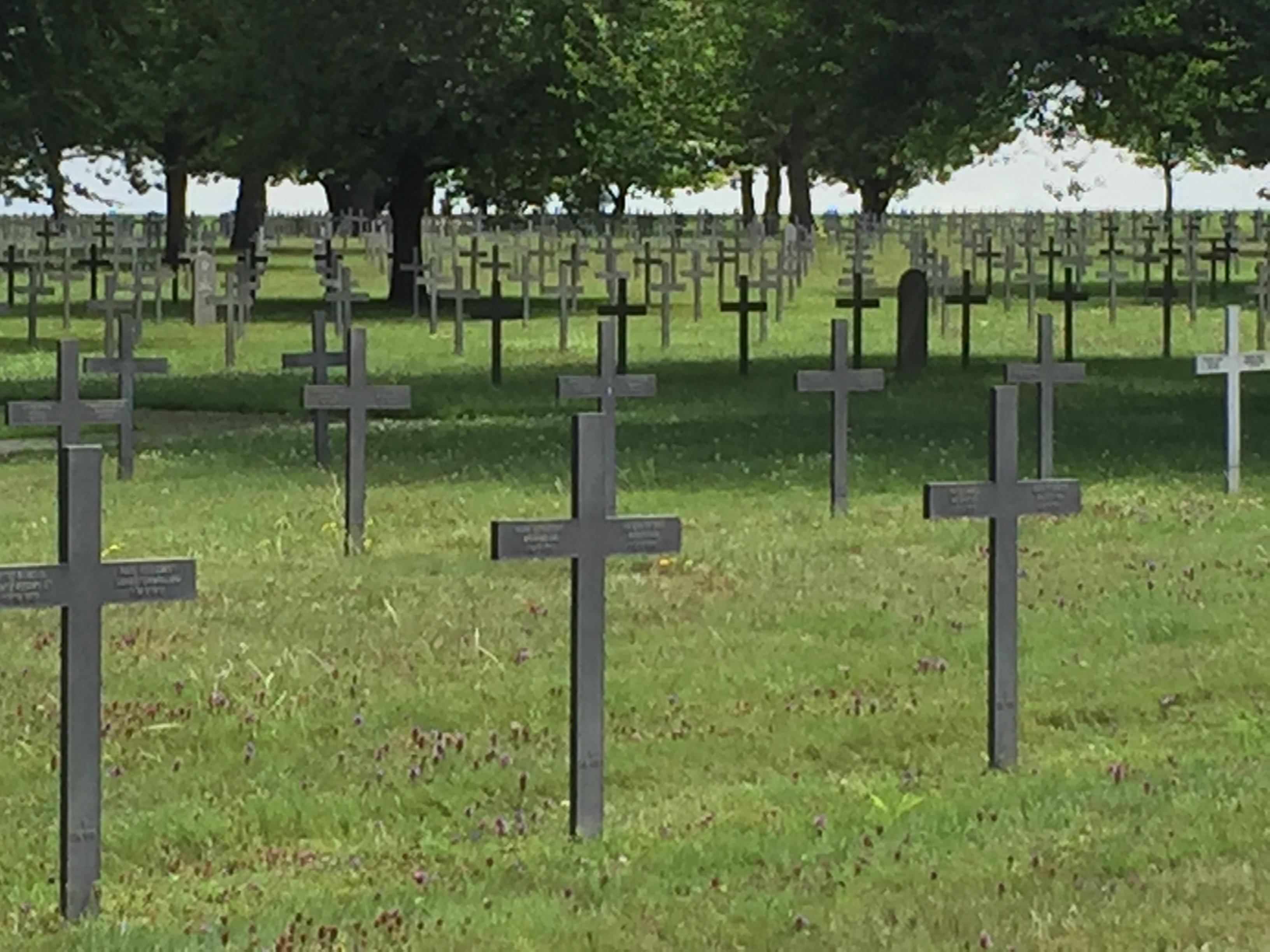 Neuville-St-Vaast German War Cemetery.